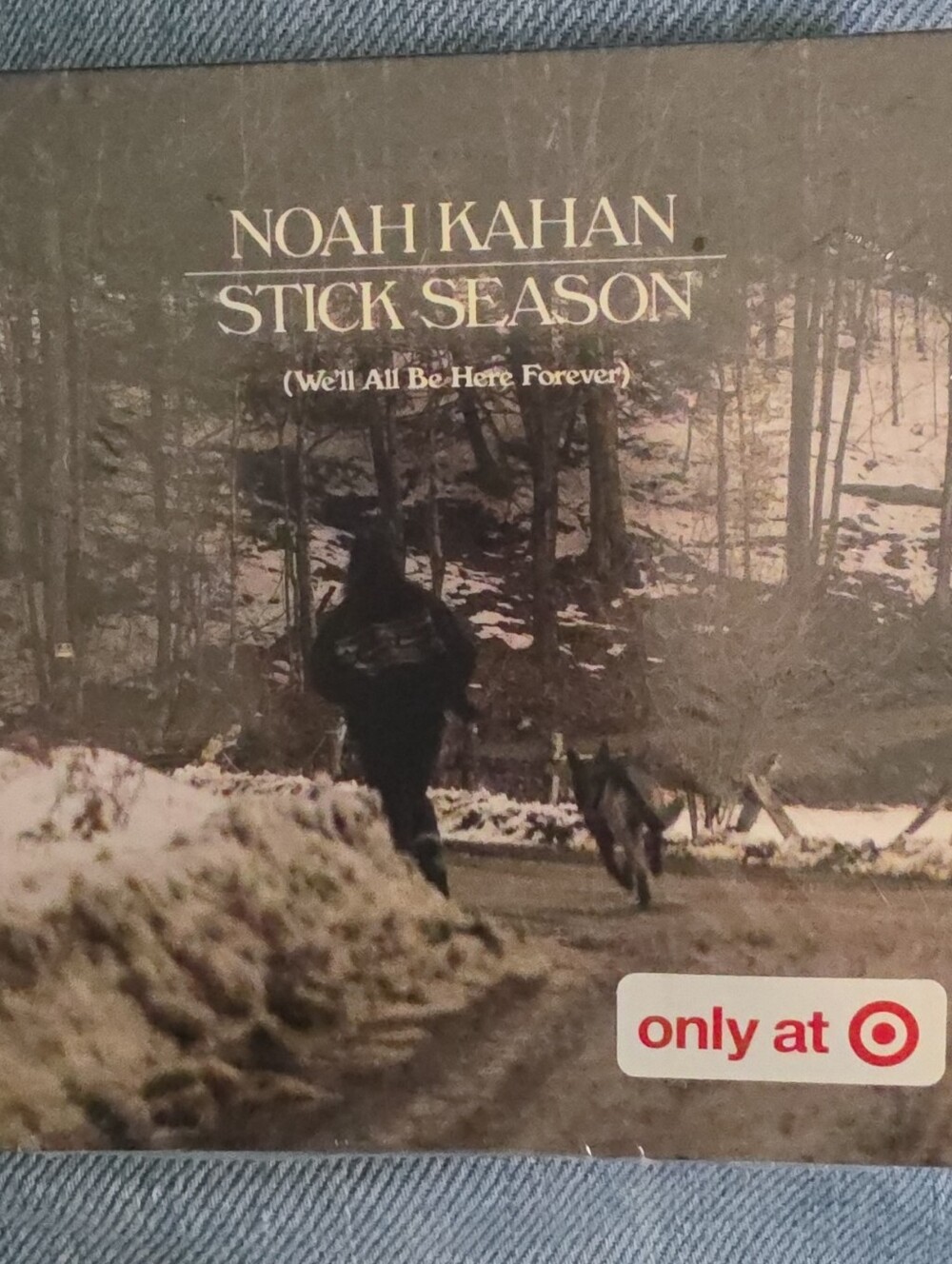 Stick Season (We'll All Be Here Forever) - Nick Kahan